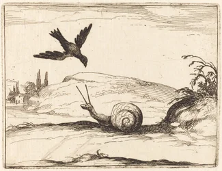 Cuervo y Caracol
