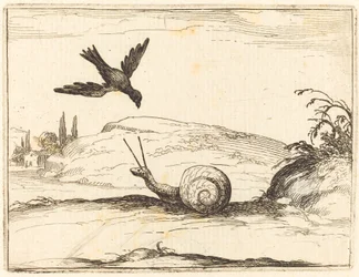 Cuervo y caracol