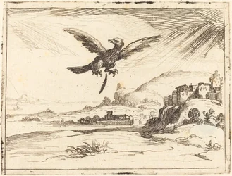 Águila perdiendo una pluma vieja