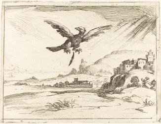 Águila perdiendo una pluma vieja