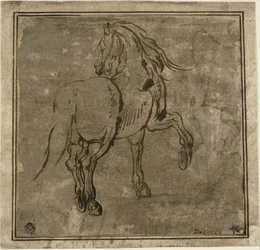 Caballo, visto tres cuartos desde atrás