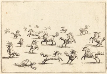 Caballos corriendo