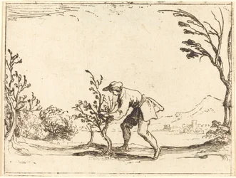 Hombre cortando un árbol de bálsamo