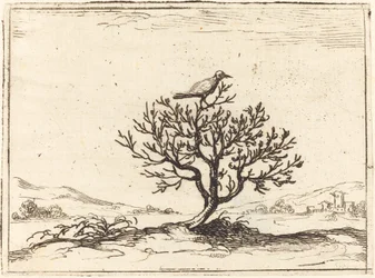 Ruiseñor en un arbusto, 1628