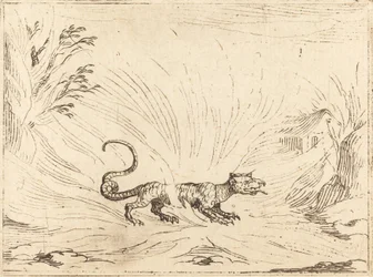 Salamandra Rodeada de Llamas