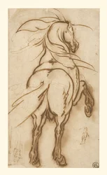 Estudio de un caballo de cría