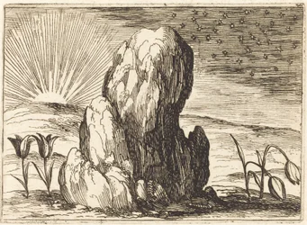 Los Tulipanes y el Sol, 1628