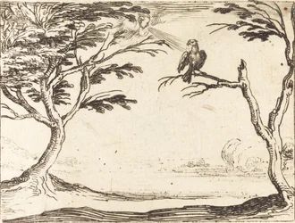 El buitre