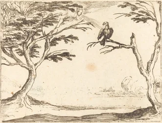 El buitre