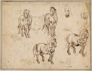Estudios de caballos (anverso)