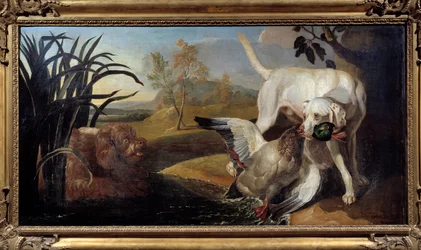 Perro Braque sosteniendo un ánade en su boca