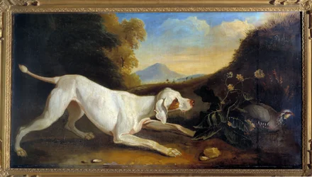 Perro Braque frente a un faisán