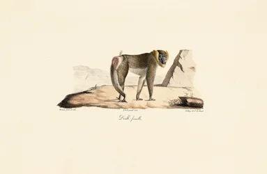 Taladro hembra