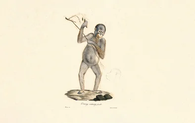 Orangután hembra