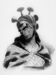 Guerrero hawaiano con casco adornado con una cresta de hongo, 1819