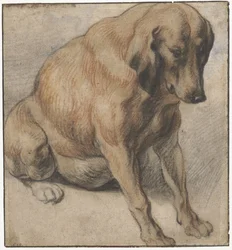 Perro sentado
Perra embarazada sentada