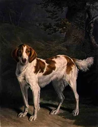 Dash, grabado por Charles Turner (1773-1857), pub. por R. Ackermann Jnr.