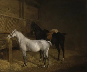 Un poni gris y un caballo de carga negro en un establo