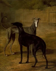 Rolla y Portia