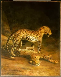 Dos leopardos acostados en el Exeter Exchange, 1808