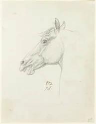 Cabeza de Caballo