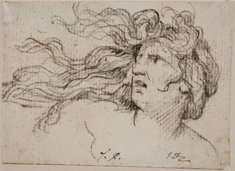 Cabeza de mujer con cabello al viento