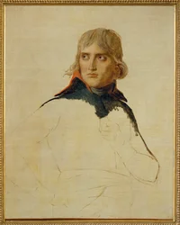 Napoleón Bonaparte ...