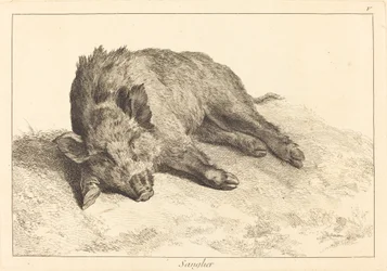 Sanglier (Jabalí acostado, cabeza a la izquierda)