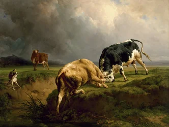 Una corrida de toros