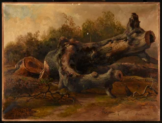 Árbol cortado
