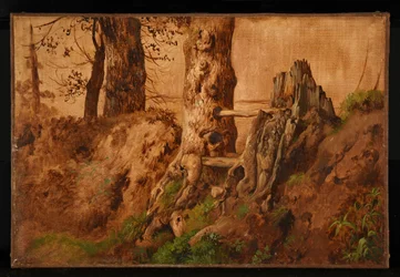 Árboles y rocas