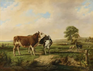 Toros, ovejas y cabras en los pastos