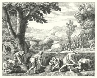 Escena de cosecha