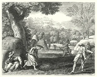 Escena de cosecha