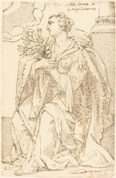 Sibila Cimeria