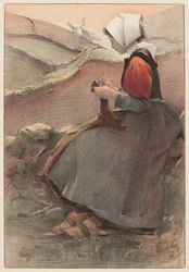 Flor del páramo, 1897.