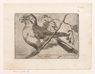 Gaai Gaio (título sobre objeto) Vogels (título de la serie)