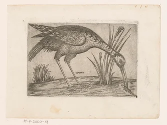 Vogel Tartena (título sobre objeto) Vogels (título de la serie)
