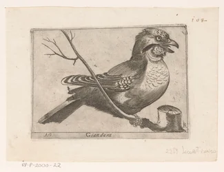 Arrendajo (Garrulus glandarius) Giandara (título sobre objeto) Pájaros (título de la serie)