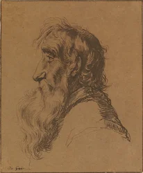 Cabeza de anciano