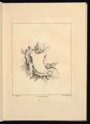 Diseño para cartucho evocando el mar