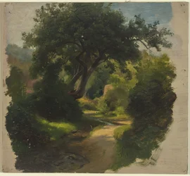 Sendero en el bosque