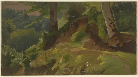 En el interior de un bosque