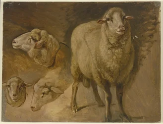 Ovejas