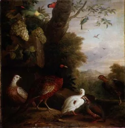 Aves en un paisaje