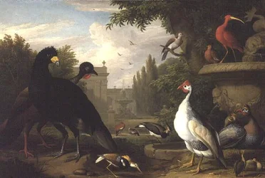 Aves exóticas en un jardín ornamental
