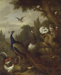Pavo real, pava real, loros, canario y otros pájaros en un parque, c. 1708-10