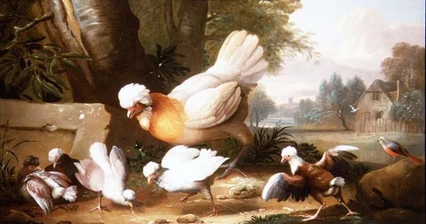 Aves de corral y palomas en un paisaje