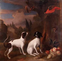Dos perros en un paisaje
