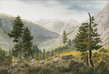 Paisaje montañoso con una caravana de mulas